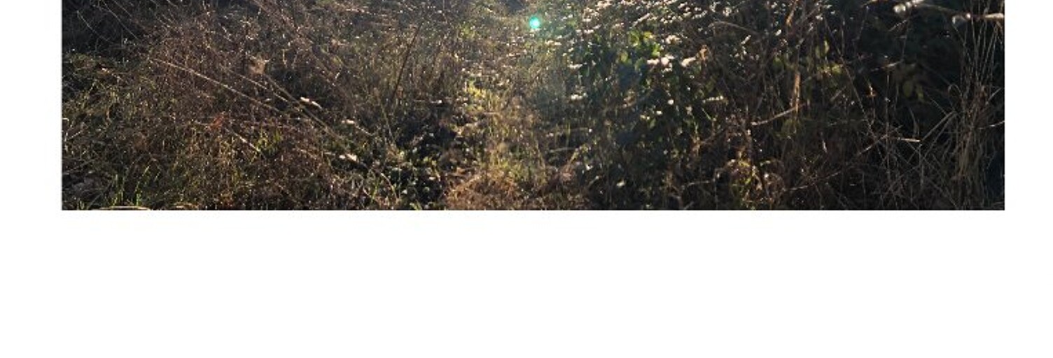 Terrain  814 m² à vendre à Maule (78580)