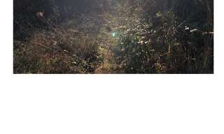 Terrain  500 m² à vendre à Maule (78580)