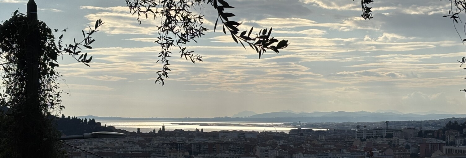 Maison 3 Pièces 79 m² à vendre à Nice (06300)