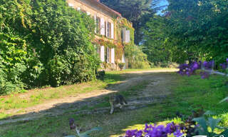 Maison 7 Pièces 241 m² à vendre à Targon (33760)