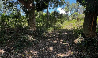 Terrain  654 m² à vendre à Le Tampon (97418)