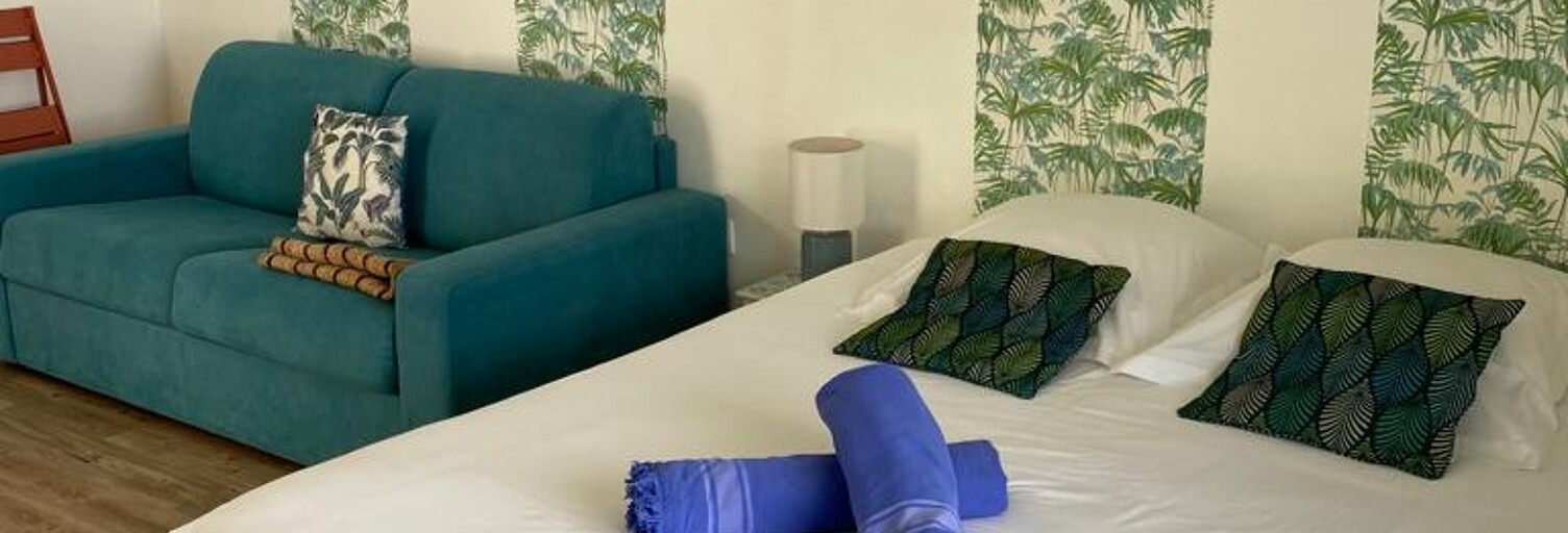 Appartement 1 Pièce 25 m² à vendre à Saint-François (97118)