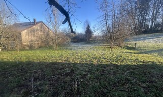 Photo N° 5