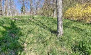 Photo N° 3