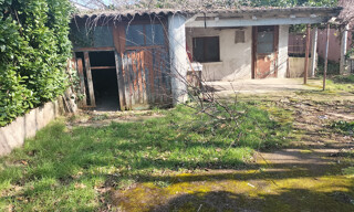 Photo N° 4