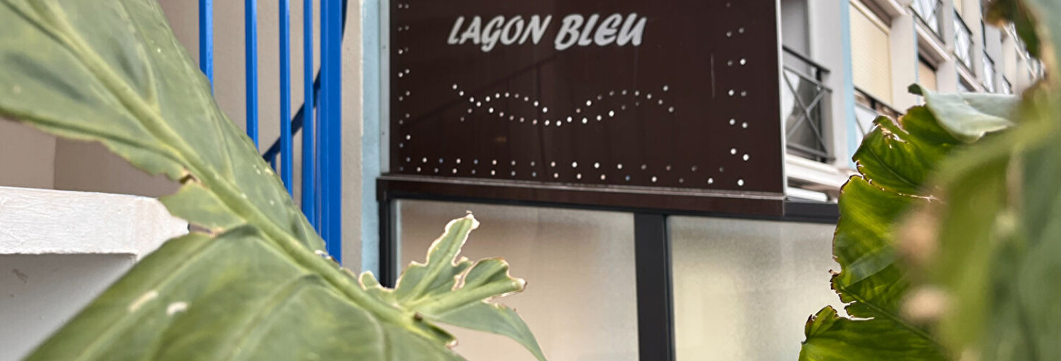 Appartement 1 Pièce 23 m² à vendre à Le Grau-du-Roi (30240)