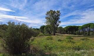 Terrain 656 m² à construire Puget-sur-Argens (83480)