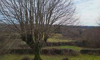 Maison 10 Pièces 350 m² à vendre à Les Salles-Lavauguyon (87440)