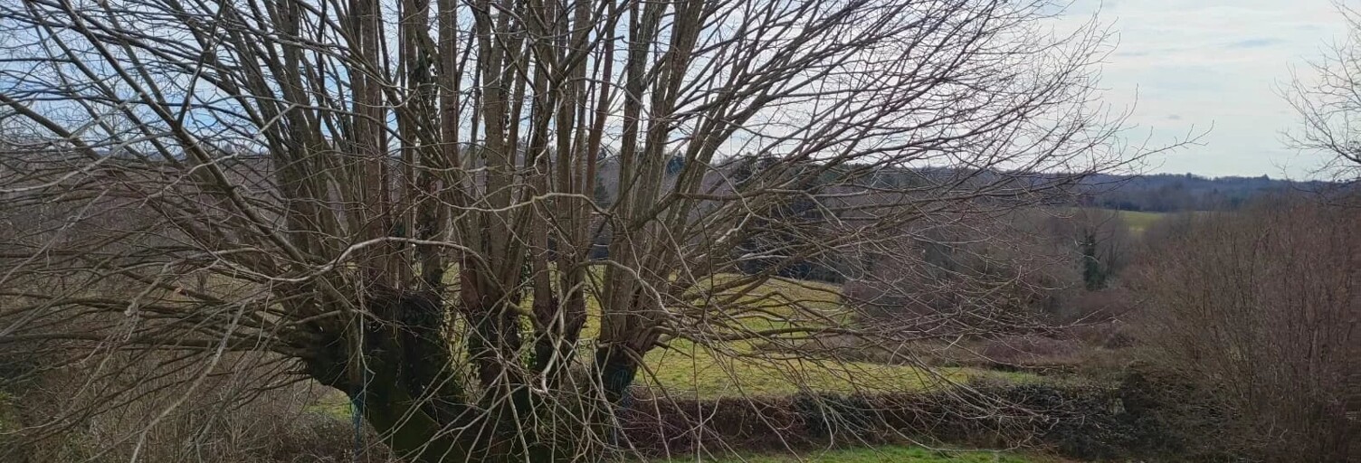 Maison 10 Pièces 350 m² à vendre à Les Salles-Lavauguyon (87440)