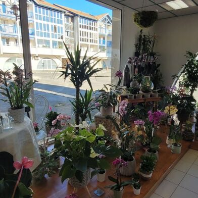 Commerce  255000 €