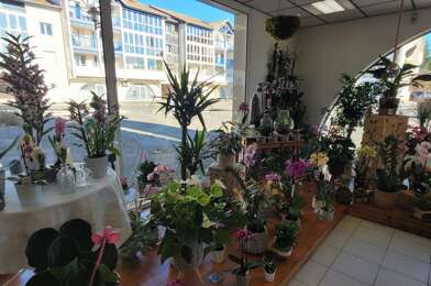 Commerce  255000 €