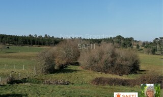 Photo N° 4