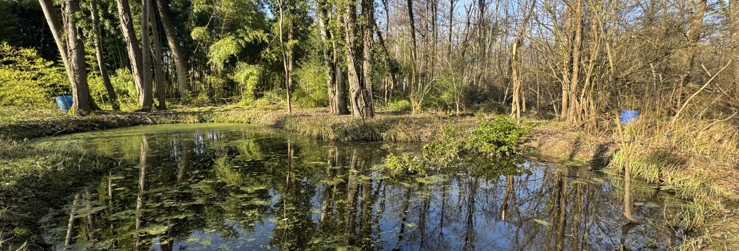 Terrain  4990 m² à vendre à Vallères (37190)