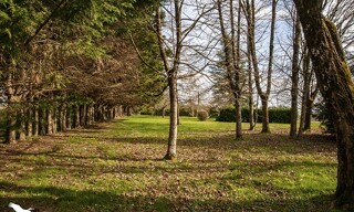 Photo N° 4