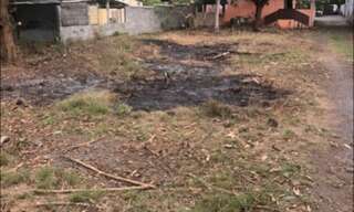 Terrain  531 m² à vendre à Saint-Paul (97460)