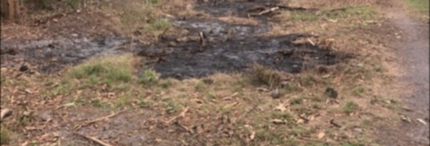 Terrain  531 m² à vendre à Saint-Paul (97460)