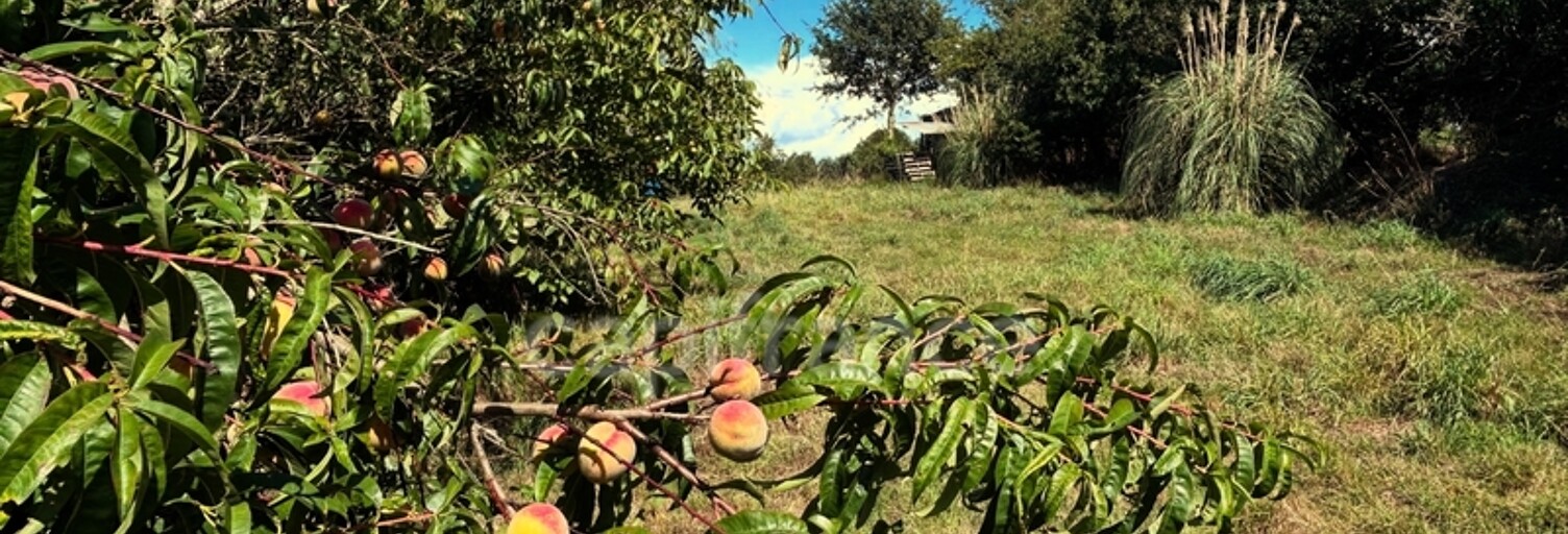 Maison  8400 m² à vendre à Bain-de-Bretagne (35470)