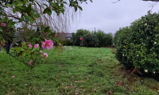 Photo N° 4