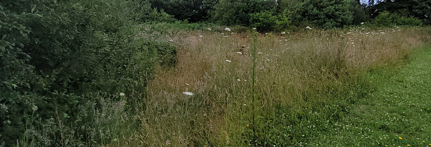 Terrain  2744 m² à vendre à Plouha (22580)