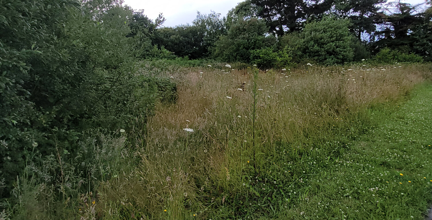 RARE à la vente, terrain plat 2700m2 constructible, côté mer — photo 1