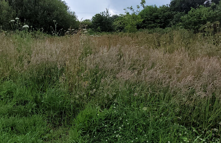 RARE à la vente, terrain plat 2700m2 constructible, côté mer — photo 3