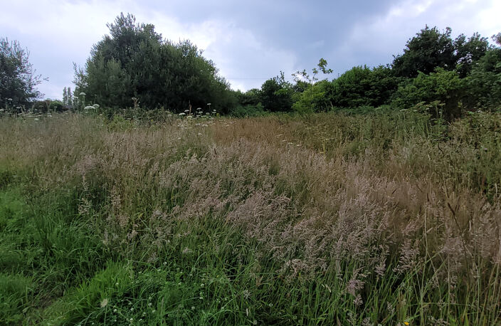 RARE à la vente, terrain plat 2700m2 constructible, côté mer — photo 4