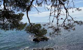 Maison 5 Pièces 118 m² à vendre à La Londe-les-Maures (83250)