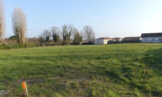Photo N° 3