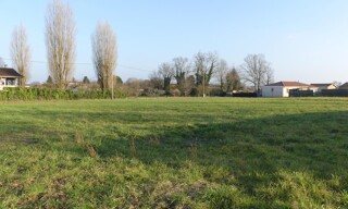Photo N° 6