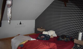 Photo N° 6