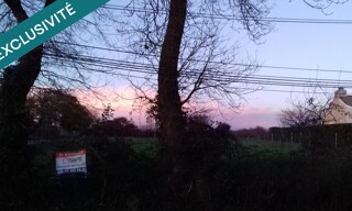 Photo N° 4