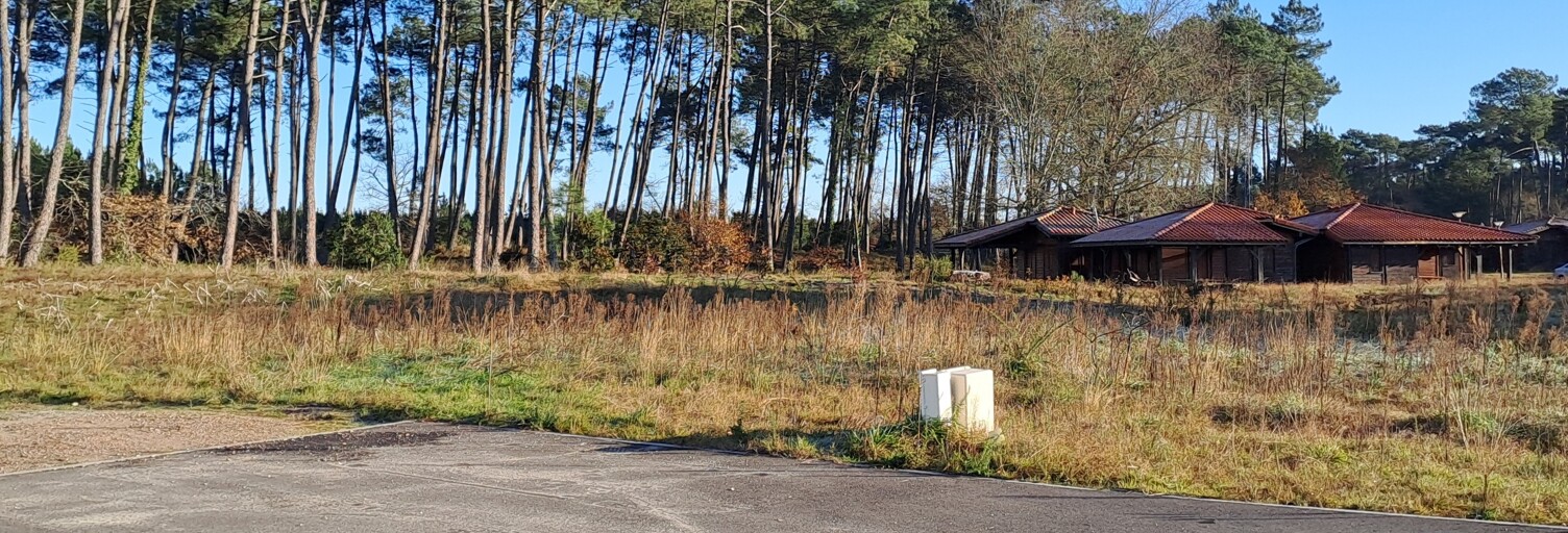 Terrain 649 m² à construire Pissos (40410)