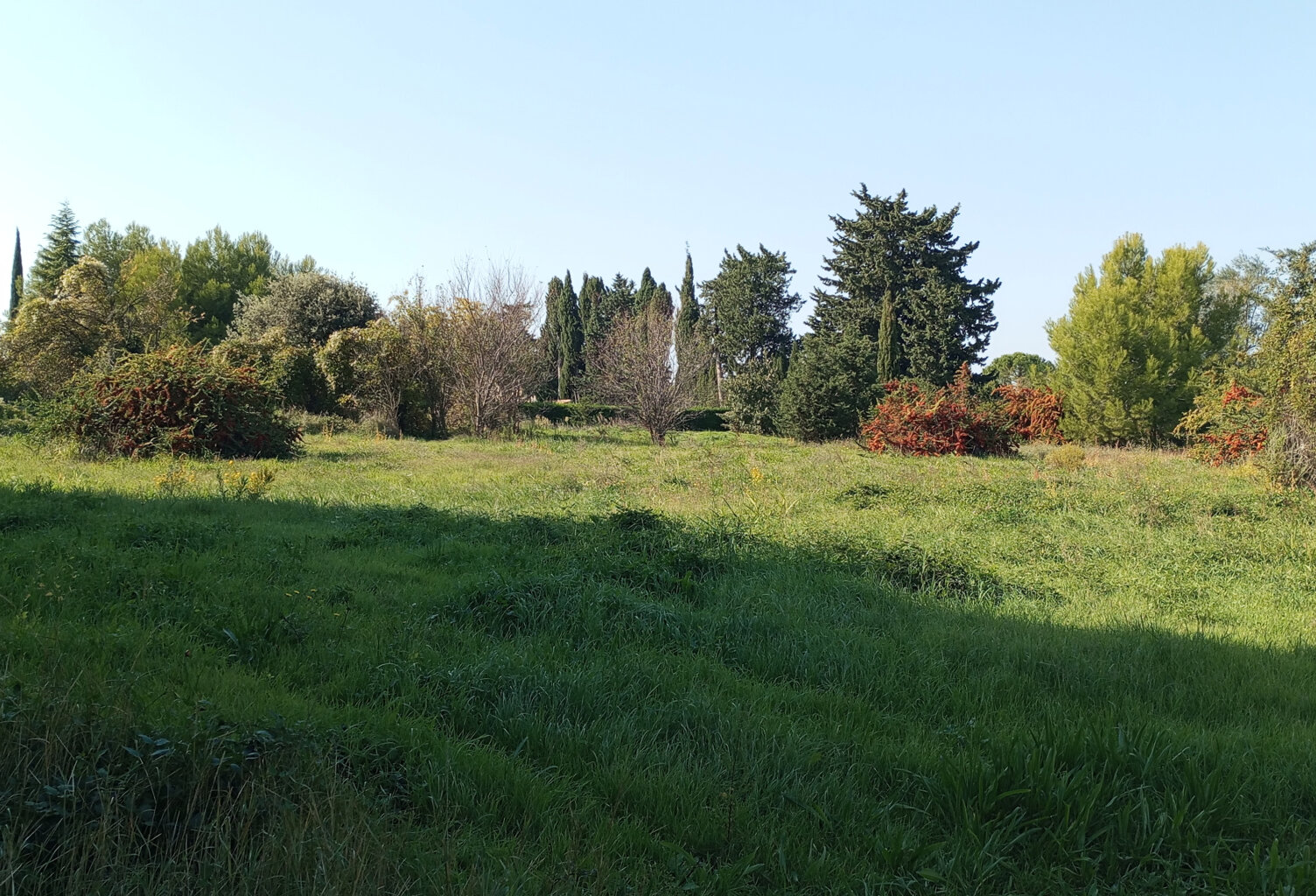 Terrain à construire de 2548m2 en vente à Châteaurenard — photo 1