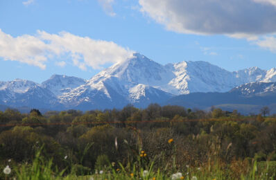 location maison 1 700 € CC /mois à proximité de Hautes-Pyrénées (65)