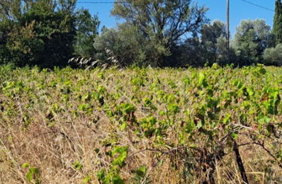 terrain  pièces 500 m2 à vendre à Manosque (04100)