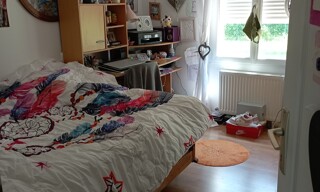 Photo N° 7