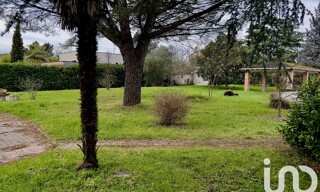 Photo N° 4