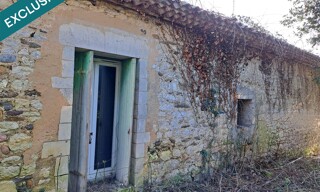 Photo N° 5
