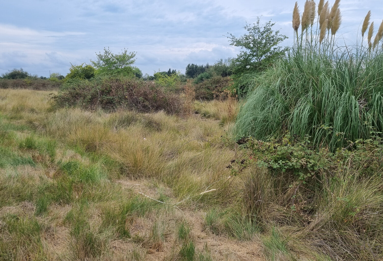 Terrain agricole SAINT LAURENT D'AIGOUZE — photo 1