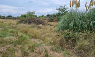 Terrain  3255 m² à vendre à Saint-Laurent-d'Aigouze (30220)