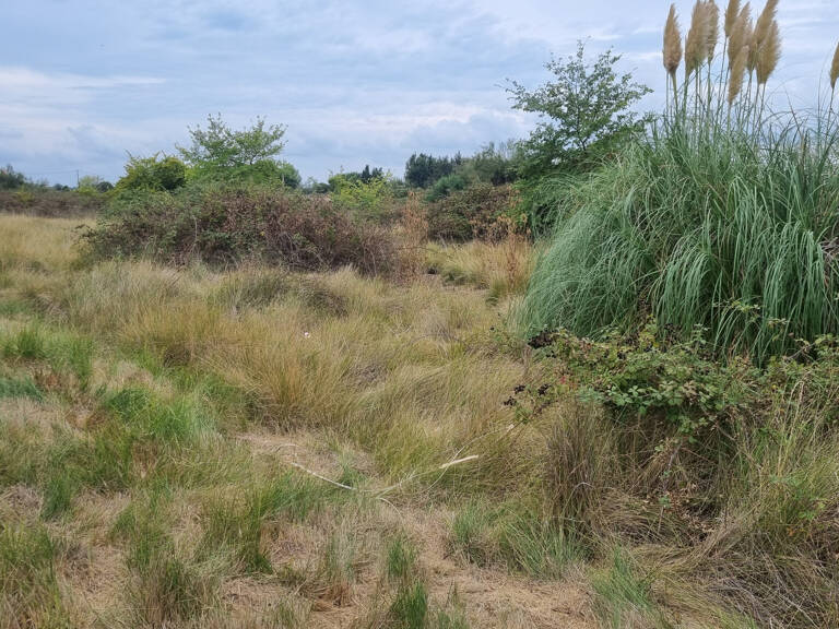 Terrain agricole SAINT LAURENT D'AIGOUZE — photo 1
