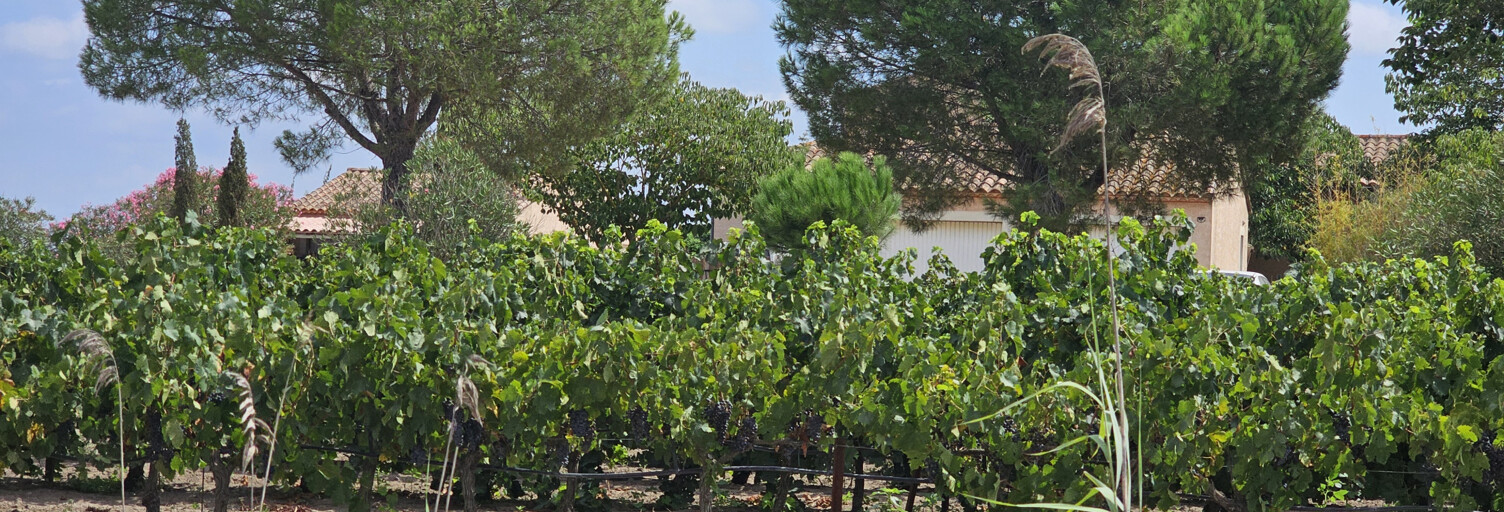 Maison 16 Pièces 376 m² à vendre à Saint-Laurent-d'Aigouze (30220)