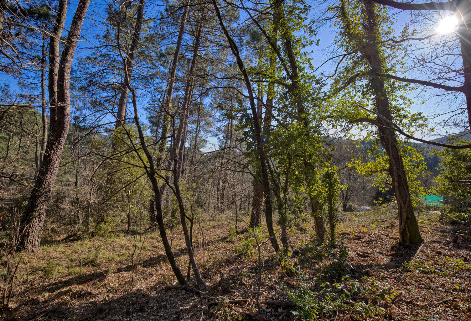 Terrain Constructible 1500m2 — photo 1