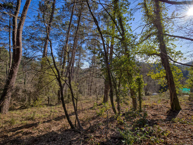 Terrain Constructible 1500m2 — photo du bien
