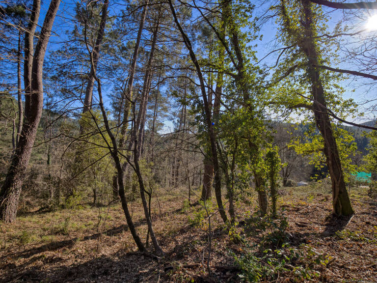 Terrain Constructible 1500m2 — photo 1