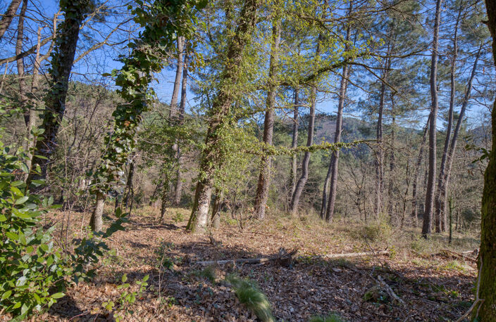 Terrain Constructible 1500m2 — photo 2