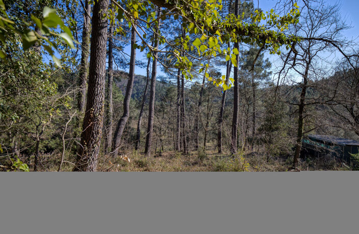 Terrain Constructible 1500m2 — photo 3