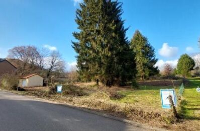 terrain  pièces 800 m2 à vendre à Lorry-Lès-Metz (57050)