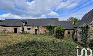 Photo N° 4