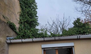 Photo N° 8